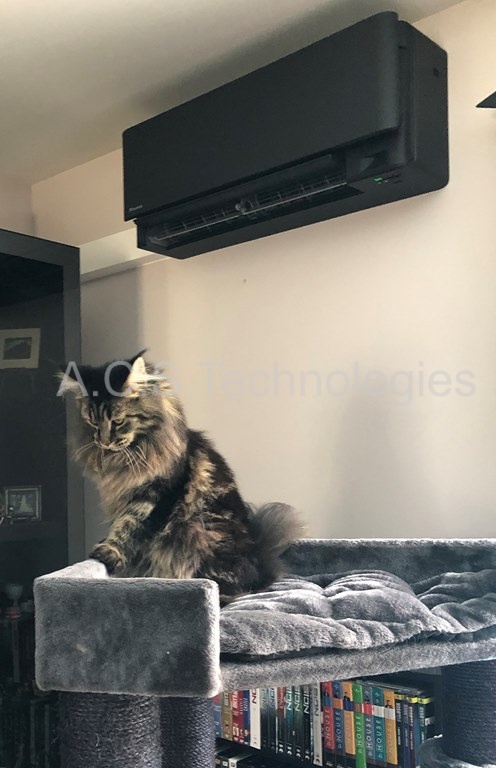 ACS TECHNOLOGIES